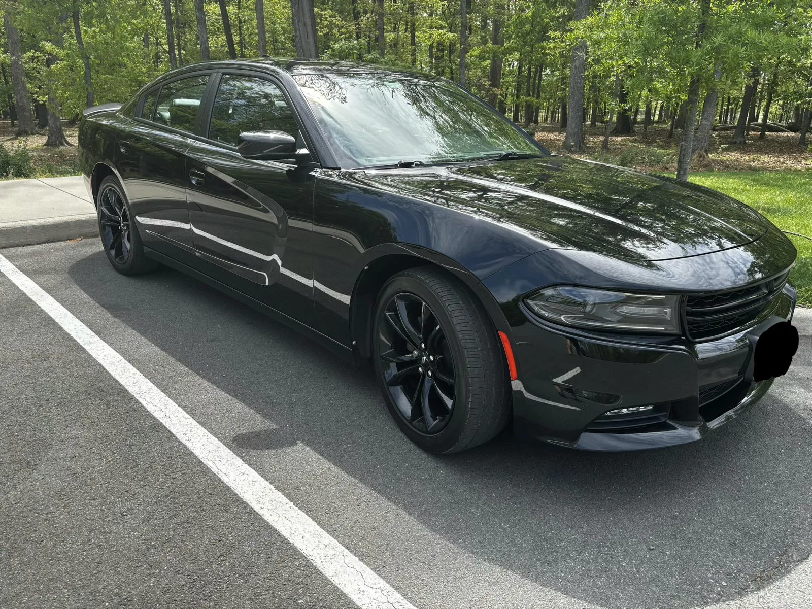 Dark Dodge Charger with a reflective finish, clean wheels and dressed tires